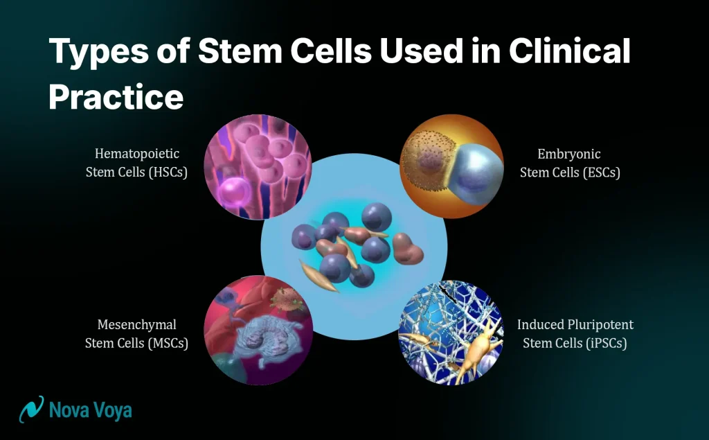 Types of Stem Cells Used in Clinical Practice
